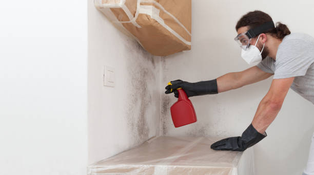 Professional Attic Mold Remediation technician working in Wayne, MI
