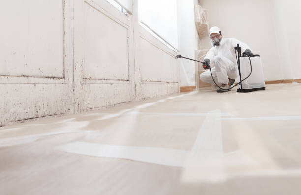 24/7 Emergency Attic Mold Remediation experts in Wayne, MI